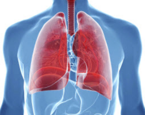 Let’s talk about how to support the LUNGS!