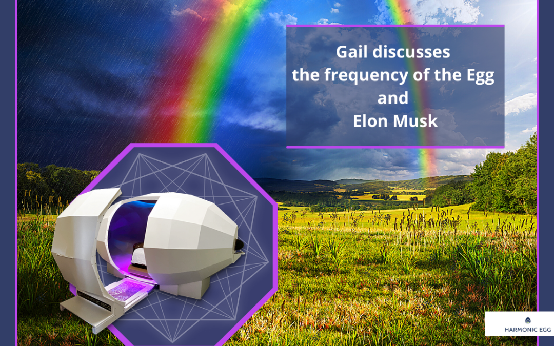 Med Beds, Elon Musk and the Harmonic Egg Frequencies