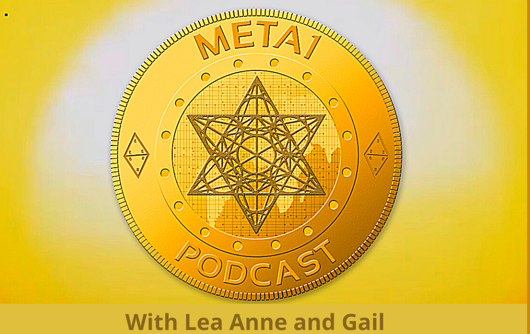 Meta1 Coin Podcast: Gail and the Harmonic Egg