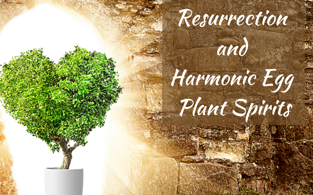 Resurrection and Harmonic Egg Plant Spirits